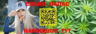 соль ск Шелехов