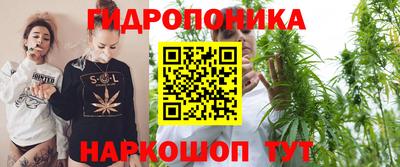 соль ск Шелехов