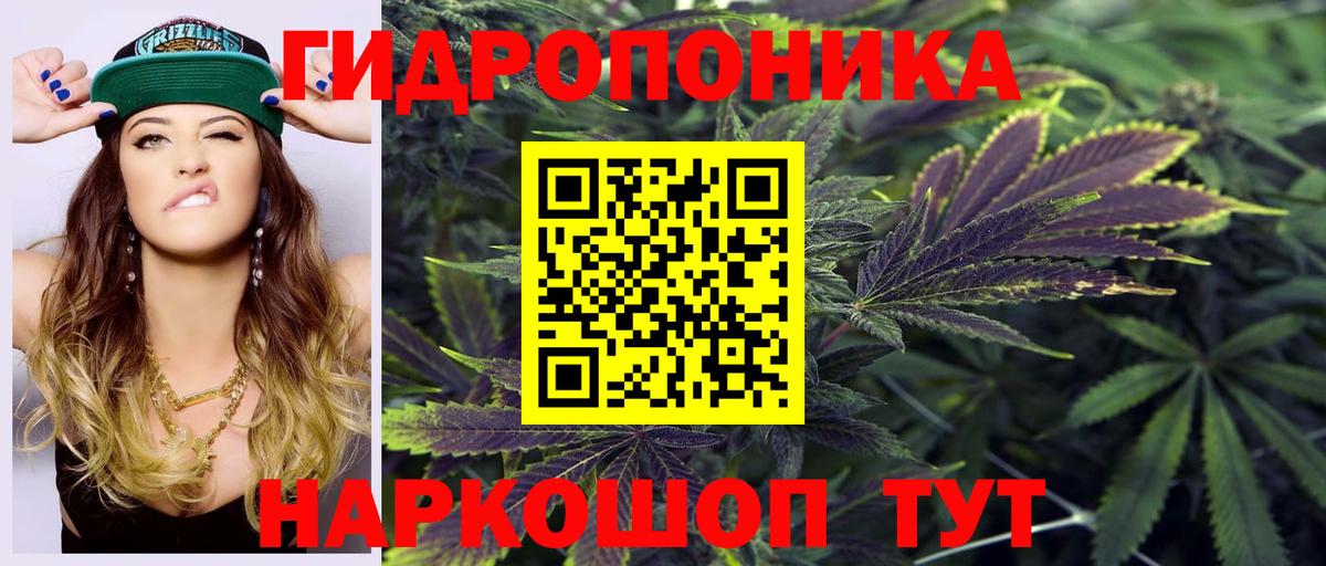 Конопля LSD WEED Благодарный